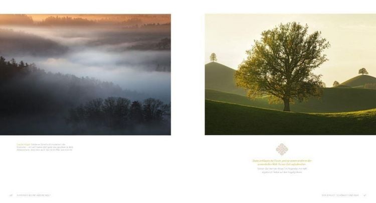 Produktbild: Auenland und D&uuml;sterwald