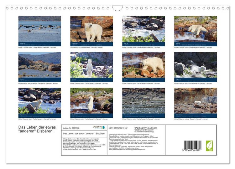 Produktbild: Das Leben der etwas "anderen" Eisb&auml;ren! (Wandkalender 2026 DIN A3 quer), CALVENDO Monatskalender