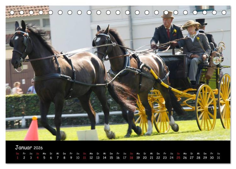 Produktbild: CIAT - Historischer Fahrsport in Celle (Tischkalender 2026 DIN A5 quer), CALVENDO Monatskalender