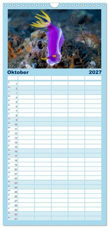 Produktbild: Familienplaner 2027 - Faszination blaue Unterwasserwelt mit 5 Spalten (Wandkalender, 21 x 45 cm) CALVENDO