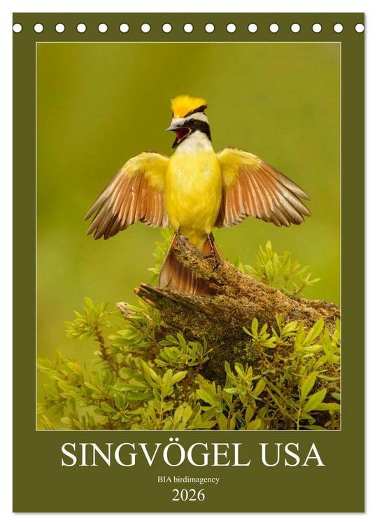 Produktbild: Singv&ouml;gel USA (Tischkalender 2026 DIN A5 hoch), CALVENDO Monatskalender