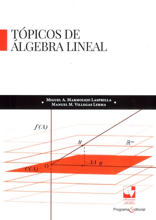 Produktbild: T&oacute;picos de &aacute;lgebra lineal