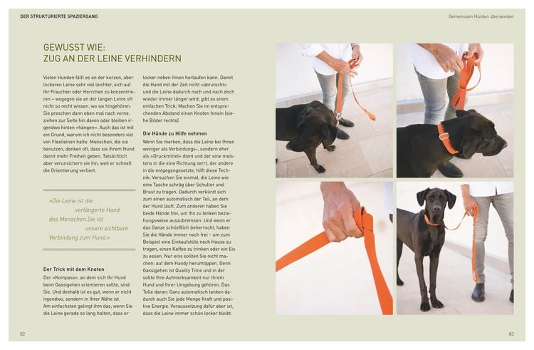 Produktbild: Die Jos&eacute;-Arce-Methode: Liebe Deinen Hund. Wie Sie beim Gassigehen die Beziehung st&auml;rken