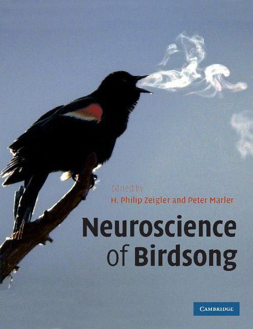 Produktbild: Neuroscience of Birdsong