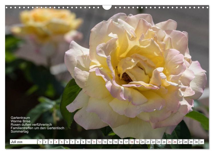 Produktbild: Mit Elfchen durch das Jahr (Wandkalender 2026 DIN A3 quer), CALVENDO Monatskalender