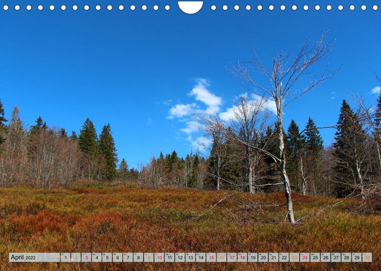 Produktbild: Bayer-Woid-Buidl (Wandkalender 2022 DIN A4 quer)