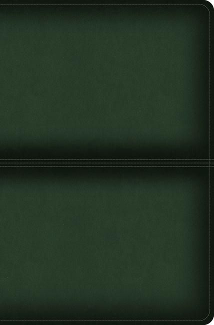 Produktbild: CSB Men's Daily Bible, Olive Leathertouch
