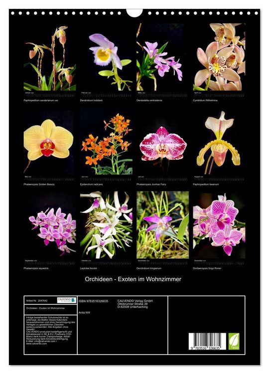 Produktbild: Orchideen - Exoten im Wohnzimmer (Wandkalender 2026 DIN A3 hoch), CALVENDO Monatskalender