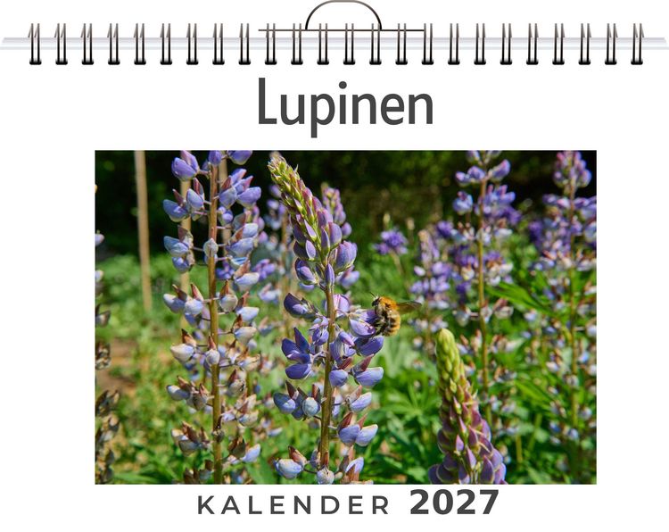 Produktbild: Lupinen