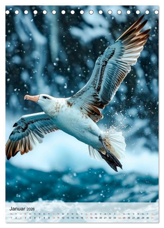 Produktbild: V&ouml;gel - K&uuml;nstler im Flug (Tischkalender 2026 DIN A5 hoch), CALVENDO Monatskalender