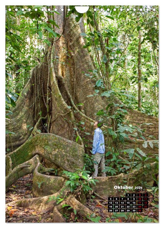 Produktbild: Peru - Kultur - Menschen - Natur (Wandkalender 2026 DIN A4 hoch), CALVENDO Monatskalender