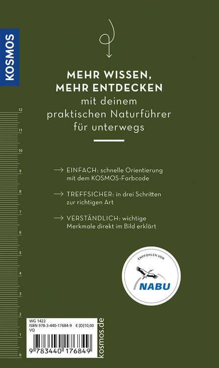 Produktbild: Basic Wald