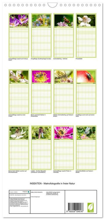 Produktbild: Familienplaner 2026 - INSEKTEN - Makrofotografie in freier Natur mit 5 Spalten (Wandkalender, 21 x 45 cm) CALVENDO