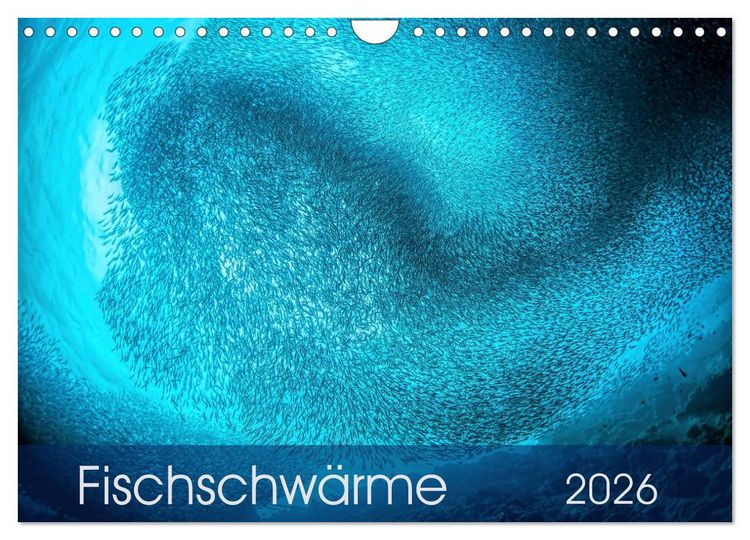 Produktbild: Fischschw&auml;rme (Wandkalender 2026 DIN A4 quer), CALVENDO Monatskalender