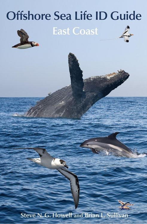 Produktbild: Offshore Sea Life ID Guide