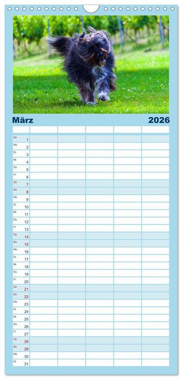Produktbild: Familienplaner 2026 - Witzige Fellnasen mit 5 Spalten (Wandkalender, 21 x 45 cm) CALVENDO