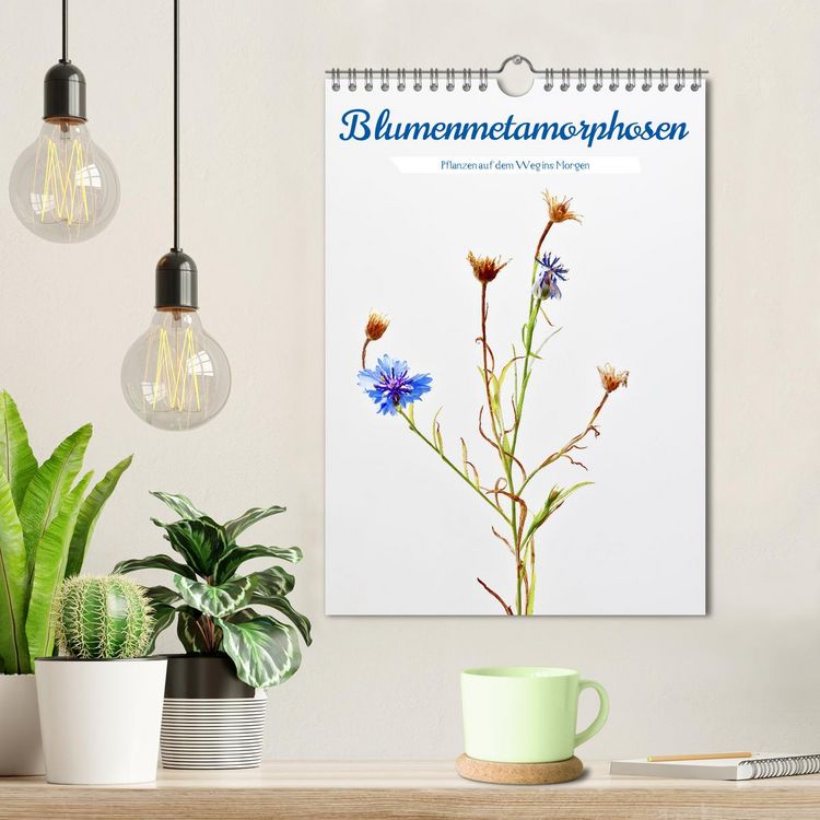 Produktbild: Blumenmetamorphosen (Wandkalender 2026 DIN A4 hoch), CALVENDO Monatskalender
