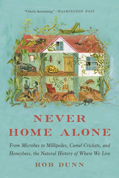 Produktbild: Never Home Alone