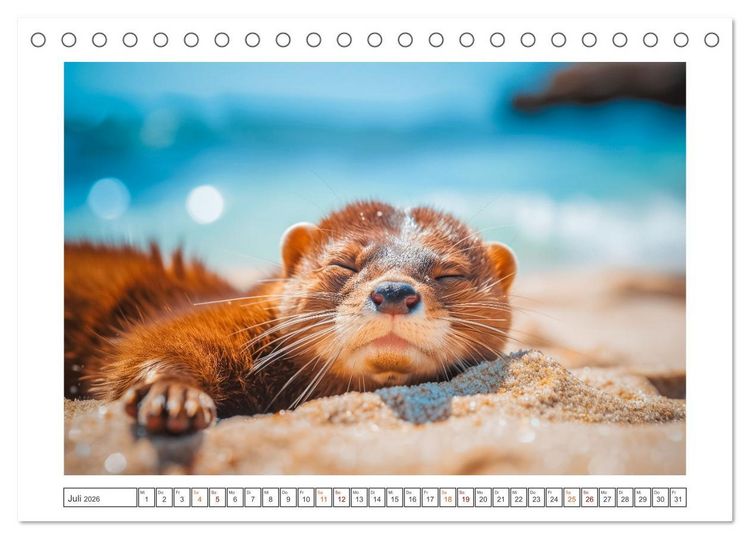 Produktbild: Kleine freche Nerze (Tischkalender 2026 DIN A5 quer), CALVENDO Monatskalender