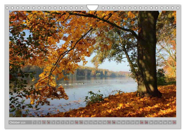 Produktbild: Baldeneysee - Oase der Ruhe (Wandkalender 2026 DIN A4 quer), CALVENDO Monatskalender