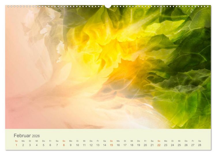 Produktbild: Lichtzauber (Wandkalender 2026 DIN A2 quer), CALVENDO Monatskalender