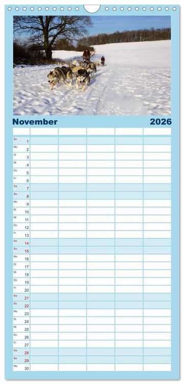 Produktbild: Familienplaner 2026 - Huskies! mit 5 Spalten (Wandkalender, 21 x 45 cm) CALVENDO