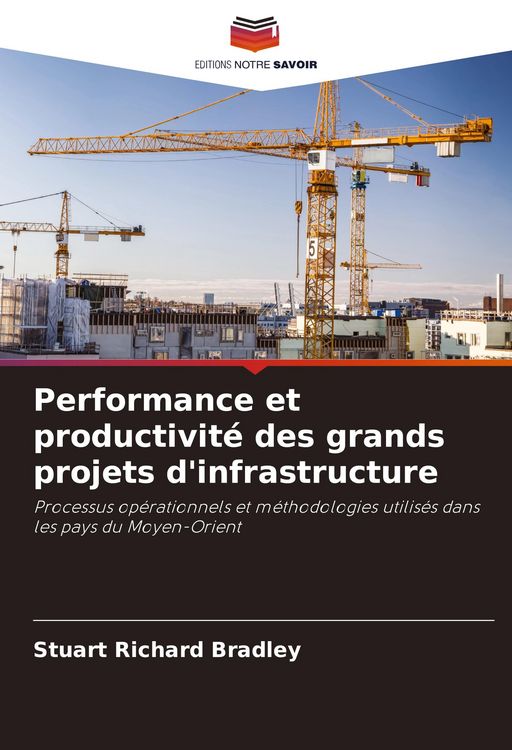 Produktbild: Performance et productivit&eacute; des grands projets d'infrastructure