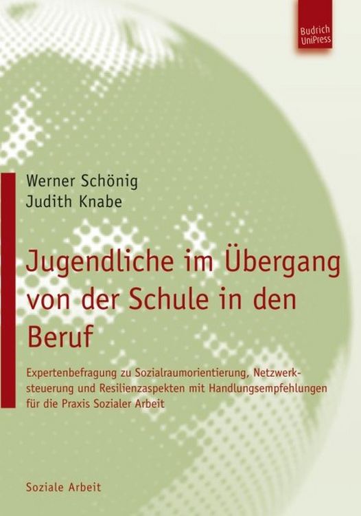 Produktbild: Jugendliche im &Uuml;bergang von der Schule in den Beruf
