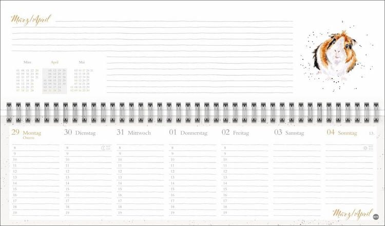 Produktbild: Hannah Dale : Wochenquerplaner 2027
