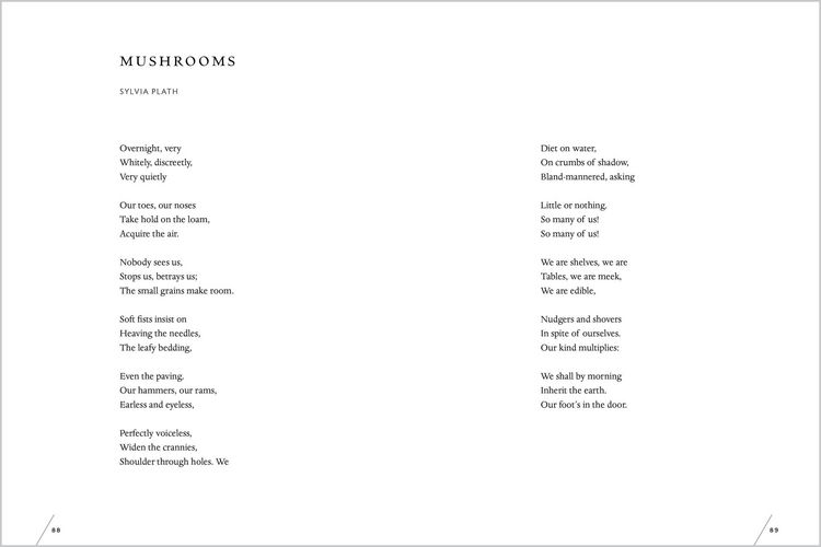 Produktbild: The Universe in Verse
