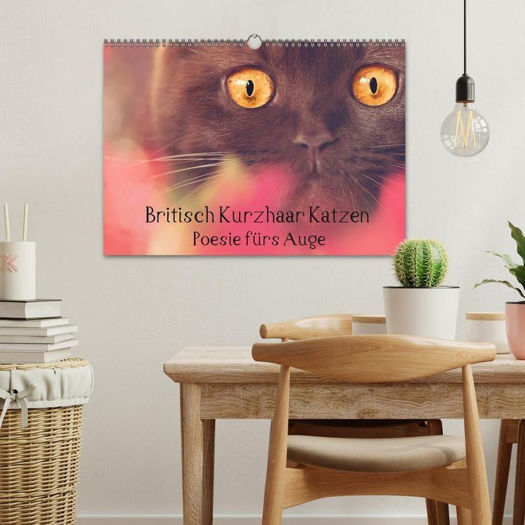 Produktbild: Britisch Kurzhaar Katzen - Poesie f&uuml;rs Auge (Wandkalender 2026 DIN A3 quer), CALVENDO Monatskalender