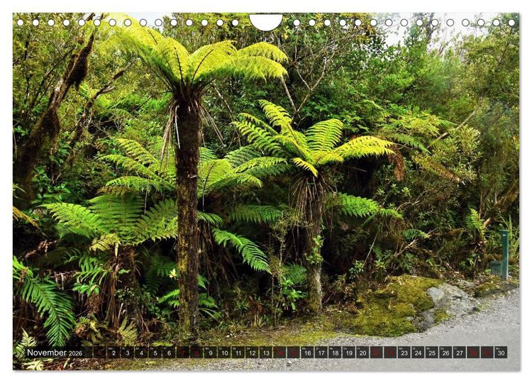 Produktbild: Neuseeland, S&uuml;dpazifische Inseln (Wandkalender 2026 DIN A4 quer), CALVENDO Monatskalender