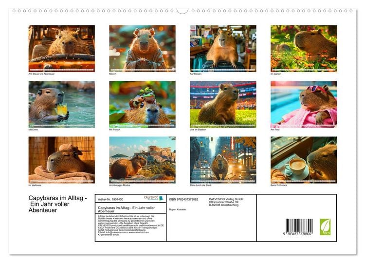 Produktbild: Capybaras im Alltag - Ein Jahr voller Abenteuer (hochwertiger Premium Wandkalender 2026 DIN A2 quer), Kunstdruck in Hochglanz