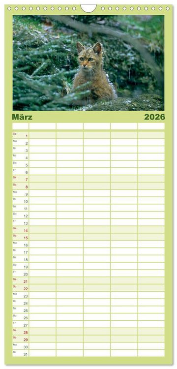 Produktbild: Familienplaner 2026 - Tiere des Waldes mit 5 Spalten (Wandkalender, 21 x 45 cm) CALVENDO