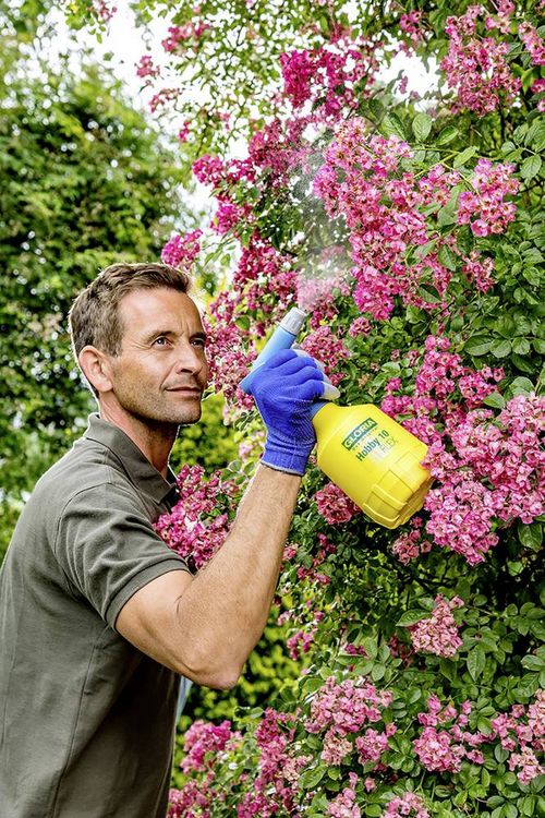 Produktbild: Gloria Haus und Garten 000860.0000 Hobby 10 FLEX Druckspr&uuml;her 1l