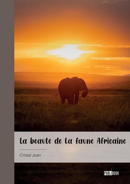 Produktbild: La beaute de la faune africaine