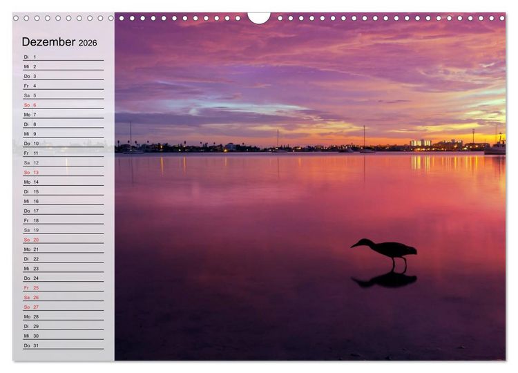 Produktbild: FLORIDA Idyllischer Sonnenscheinstaat (Wandkalender 2026 DIN A3 quer), CALVENDO Monatskalender