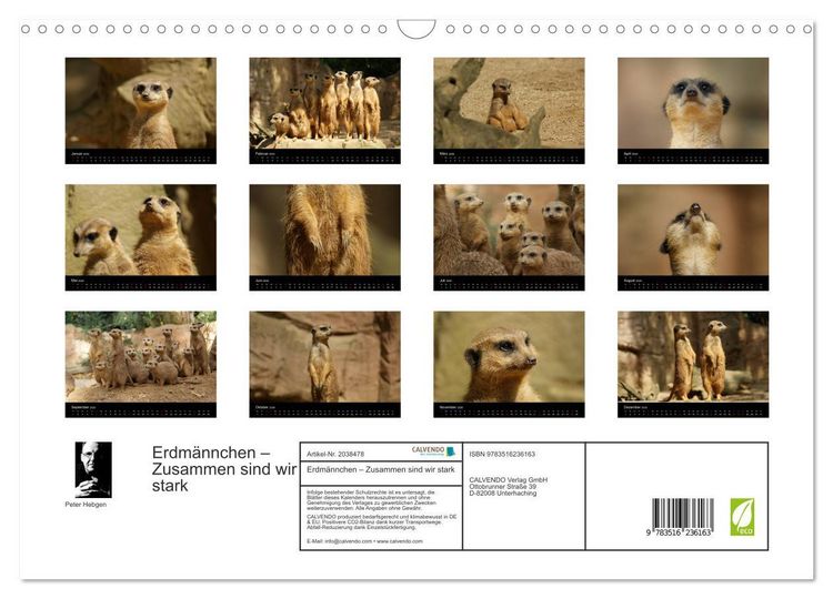 Produktbild: Erdm&auml;nnchen &ndash; Zusammen sind wir stark (Wandkalender 2026 DIN A3 quer), CALVENDO Monatskalender
