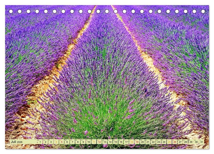 Produktbild: Traum-Ziele - Lavendel der Provence, Frankreich (Tischkalender 2026 DIN A5 quer), CALVENDO Monatskalender