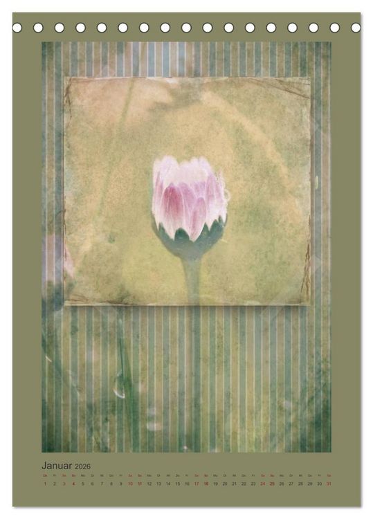 Produktbild: Vintage Style (Tischkalender 2026 DIN A5 hoch), CALVENDO Monatskalender
