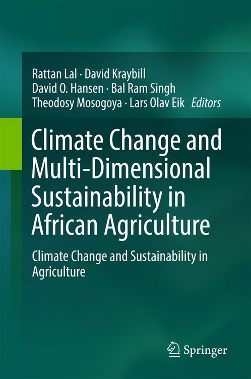 Produktbild: Climate Change and Multi-Dimensional Sustainability in African Agriculture