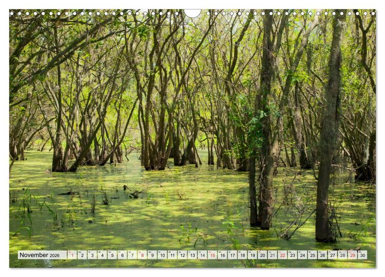 Produktbild: FLORIDA Paradiesischer Sonnenscheinstaat (Wandkalender 2026 DIN A3 quer), CALVENDO Monatskalender