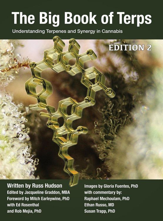 Produktbild: The Big Book of Terps