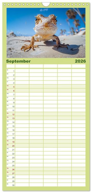 Produktbild: Familienplaner 2026 - Kleine Echsen haben Spass mit 5 Spalten (Wandkalender, 21 x 45 cm) CALVENDO