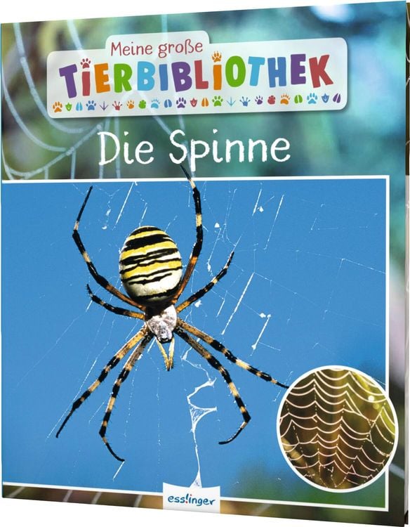 Produktbild: Meine große Tierbibliothek: Die Spinne
