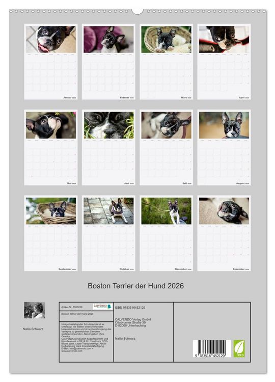 Produktbild: Boston Terrier der Hund 2026 (hochwertiger Premium Wandkalender 2026 DIN A2 hoch), Kunstdruck in Hochglanz