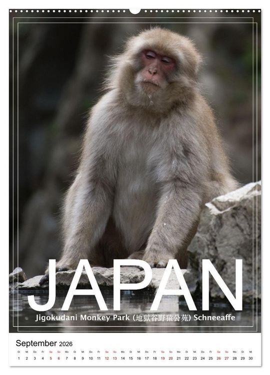 Produktbild: Japan PosterArt 2024 (hochwertiger Premium Wandkalender 2026 DIN A2 hoch), Kunstdruck in Hochglanz