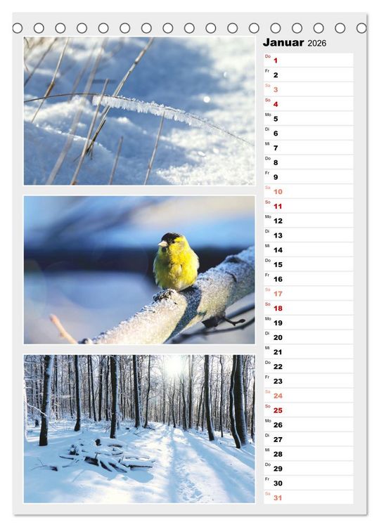 Produktbild: Zauberhafte Farben der Natur (Tischkalender 2026 DIN A5 hoch), CALVENDO Monatskalender