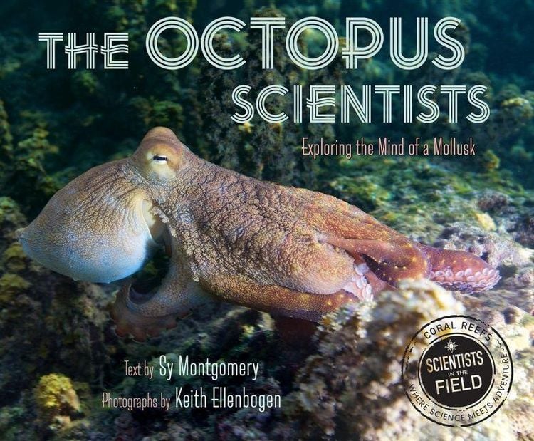 Produktbild: The Octopus Scientists