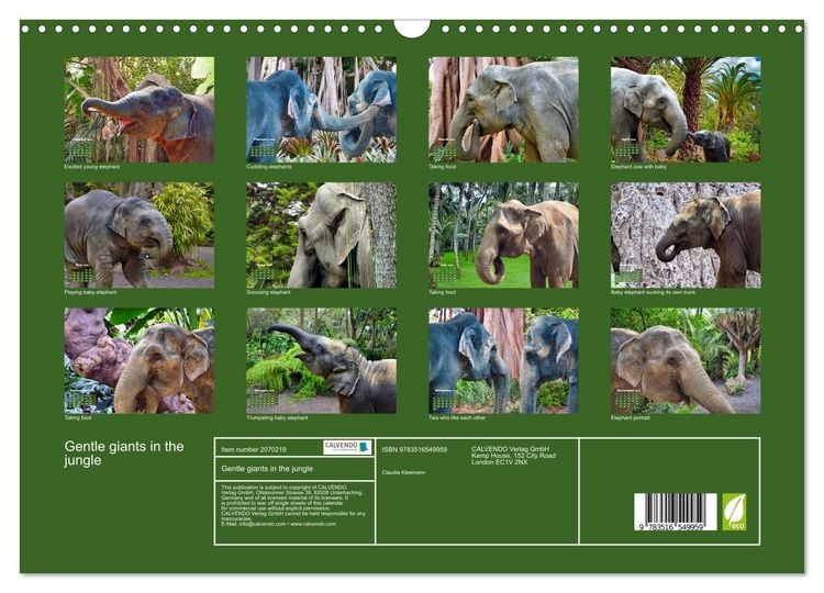 Produktbild: Gentle giants in the jungle (Wall Calendar 2026 DIN A3 landscape), CALVENDO 12 Month Wall Calendar